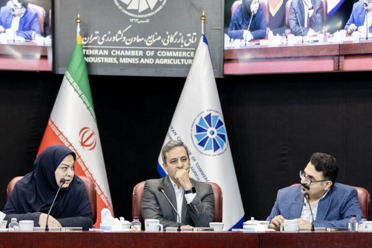 Direct Dialogue Between Digital Economy Stakeholders and the Central Bank, Alongside a Report on Meetings with the Heads of the Three Branches of Government