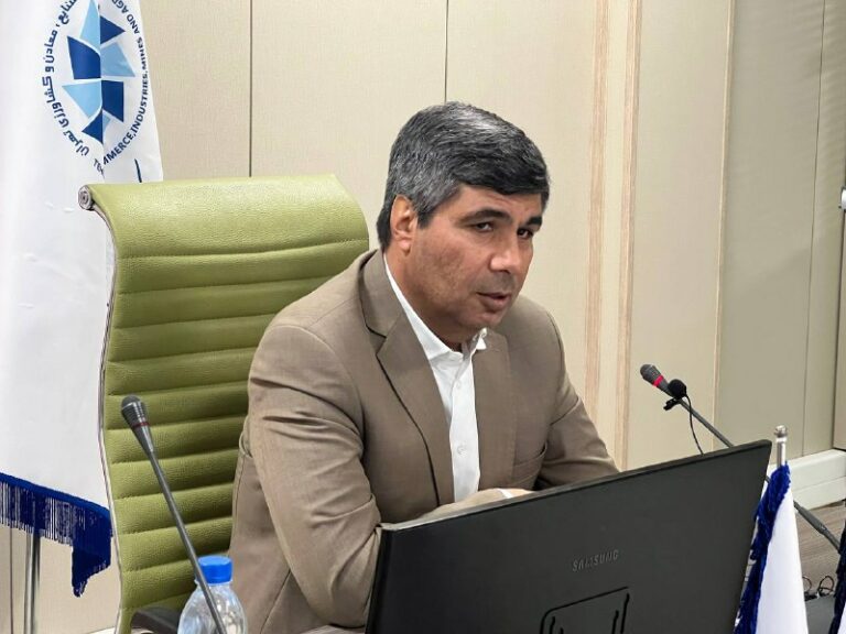 دلیری تاکید کرد: استفاده از اعتبار مالیاتی در قانون جهش تولید دانش بنیان